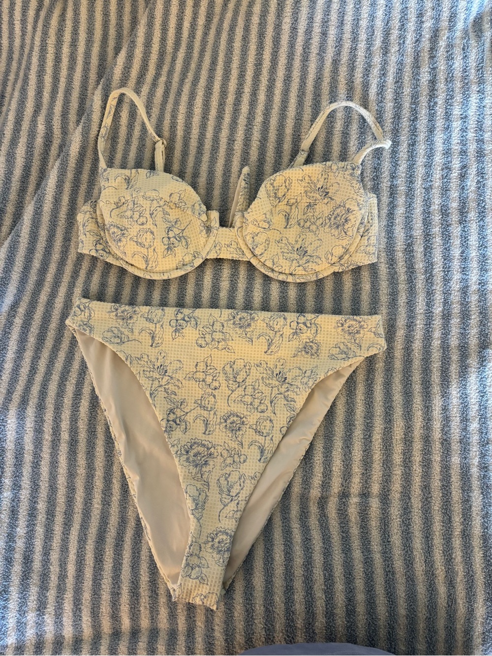 Dippin' Daisy's Cream and Pale Blue Bikini Lined Top